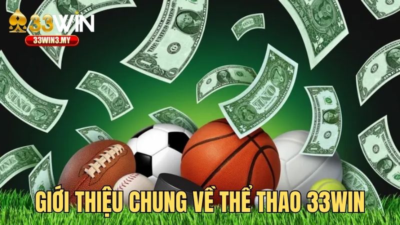 Giới thiệu chung về sports 33WIN